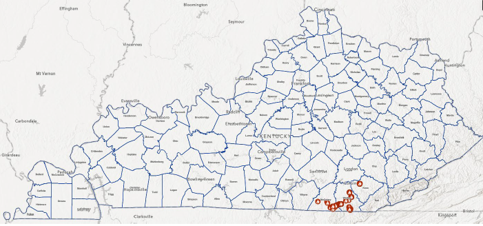 southern KY IFA